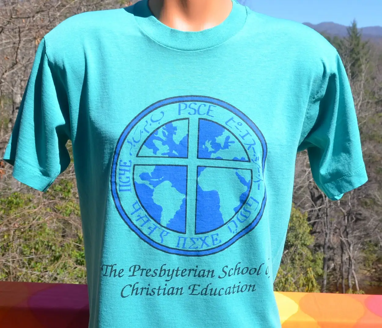 vintage 80s t shirt PSCE presbyterian school christian education tee Medium Large teal