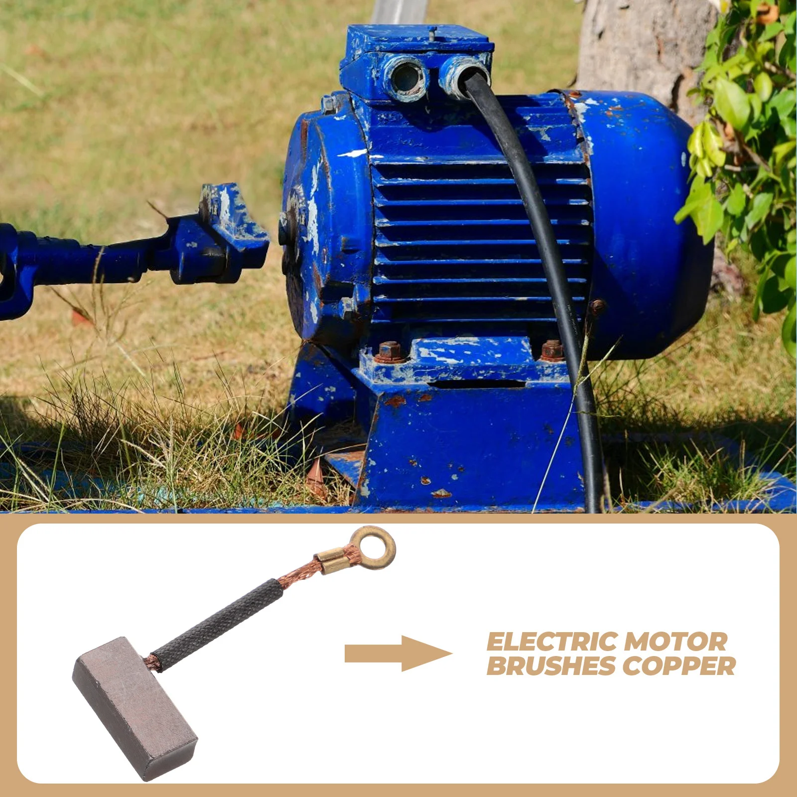 10-teilige Elektrowerkzeug-Motorbürste, stabiler Stromausgang, verschleißfest, vielseitige Option, praktische Kohlebürste für Motoren