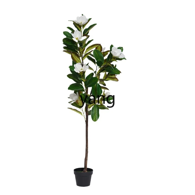 CX High-End Simulation Magnolia Fake Trees Plastic Fake Floriculture Green Plant Potted Plant Indoor Decoration