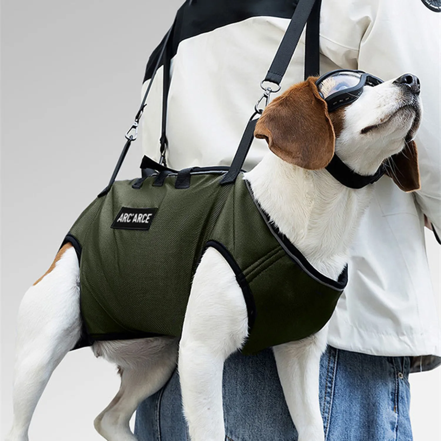 Tragbarer Hunderucksack für Hunde, Umhängetasche mit Schultergurt für kleine Hunde und Katzen, Tragetasche