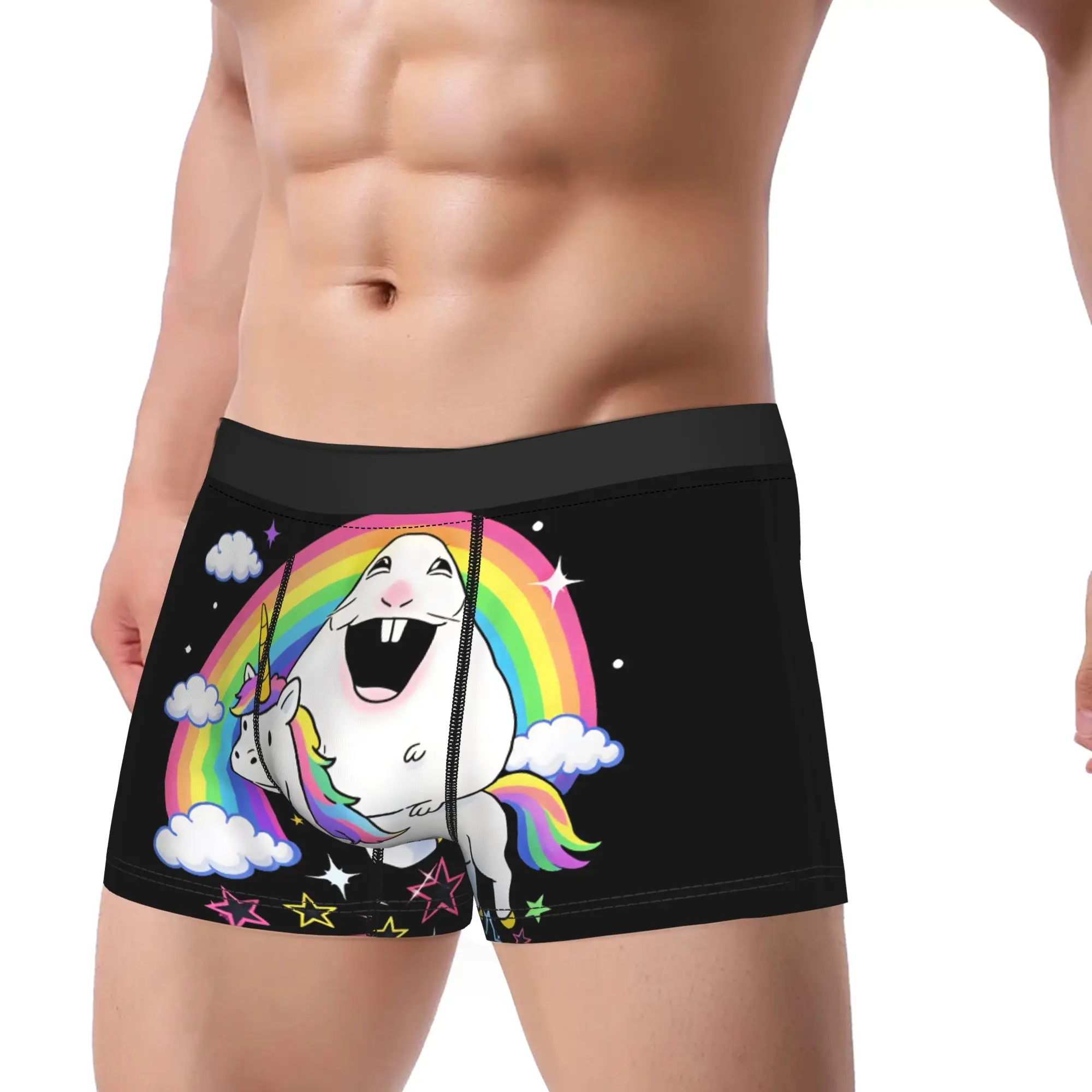 Hamster Riding Unicorn Over Rainbow Meme Happy Underwear  Males Boxer Brief Novelty Trunk Quality Design Plus Size Panties