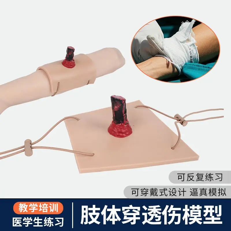 Limb Penetration Wound Model, Silicone Exercise Model Penetration Wound Training Module, Surgical Suture Exercise Model
