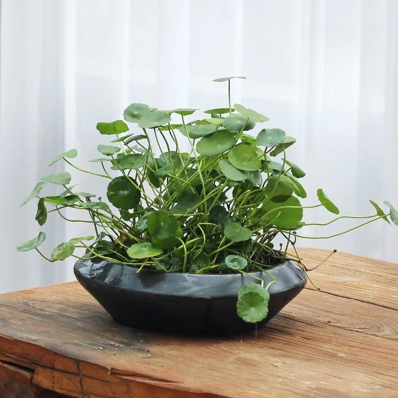 Simple Chinese Flower Pots Classic Black Pottery Flower Pot Countertop Decorative Flower Pots Home Gardening Accessories