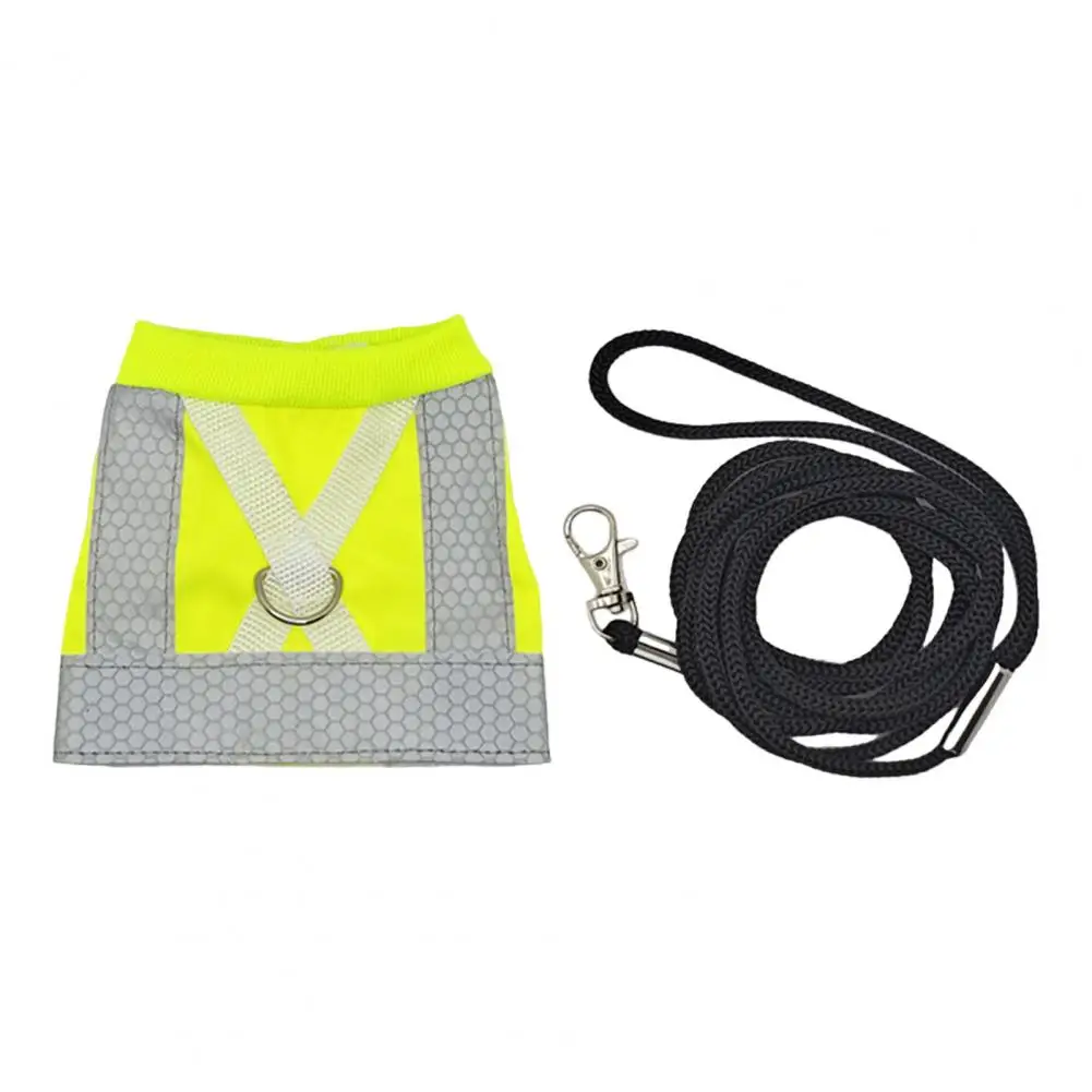 Night Visibility Bird Leash Reflective Bird Flight Harness Vest Set for Parrots Outdoor Flying Training Clothes for Cockatiels