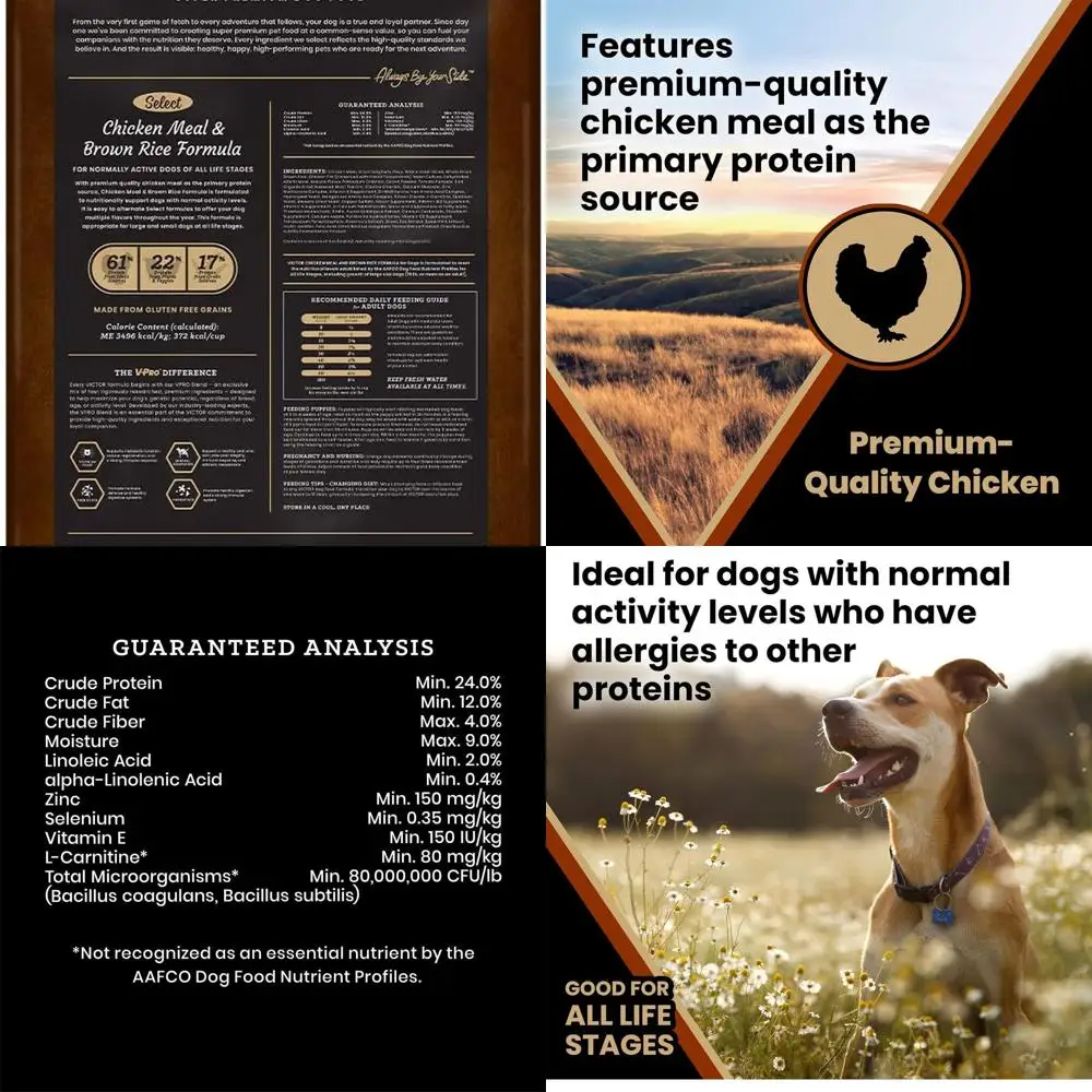 Comida para perros súper premium – Refecha de pollo y arroz integral para todos los perros normalmente activos de todas las etapas de vida – Sin gluten, digestivo y im