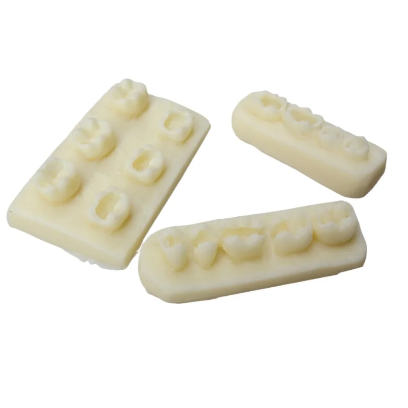 3pcs/set Dental Filling Model Inlay Resin Module Exam Practice Model Root Canal Filling Teeth Model for Dentistry Training