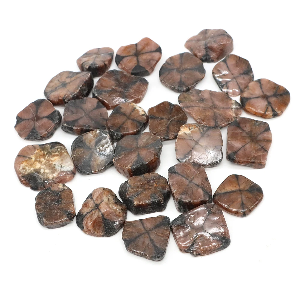 Picture 4: Natural Cross Chiastolite Quartz Crystals Healing Bulk Mineral Specimen Beads DIY Jewelry Pendant Home Tank Aquarium Decoration