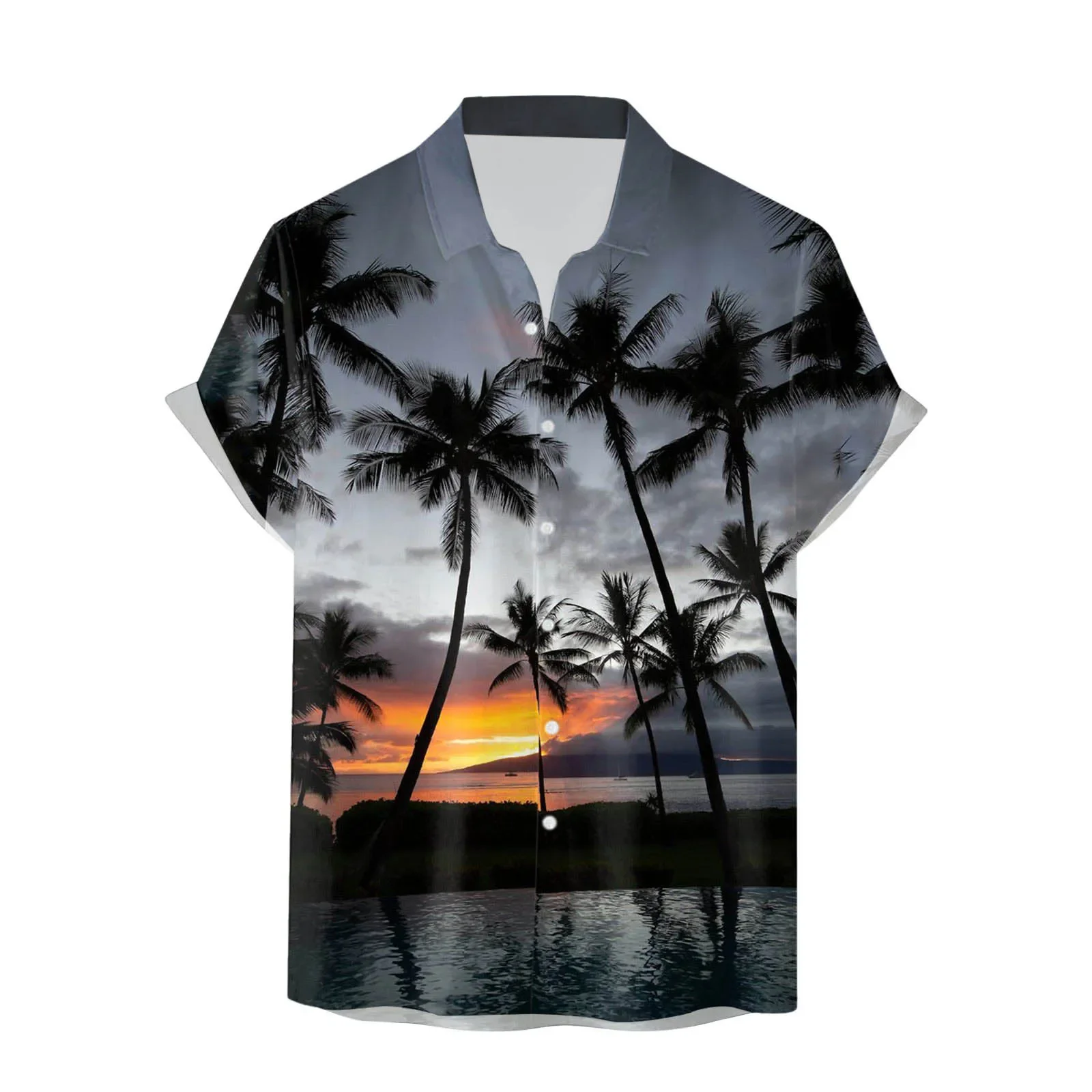 Hawaiian men's 3D digital printed shirt, European and American large summer shirt, 2024 new edition