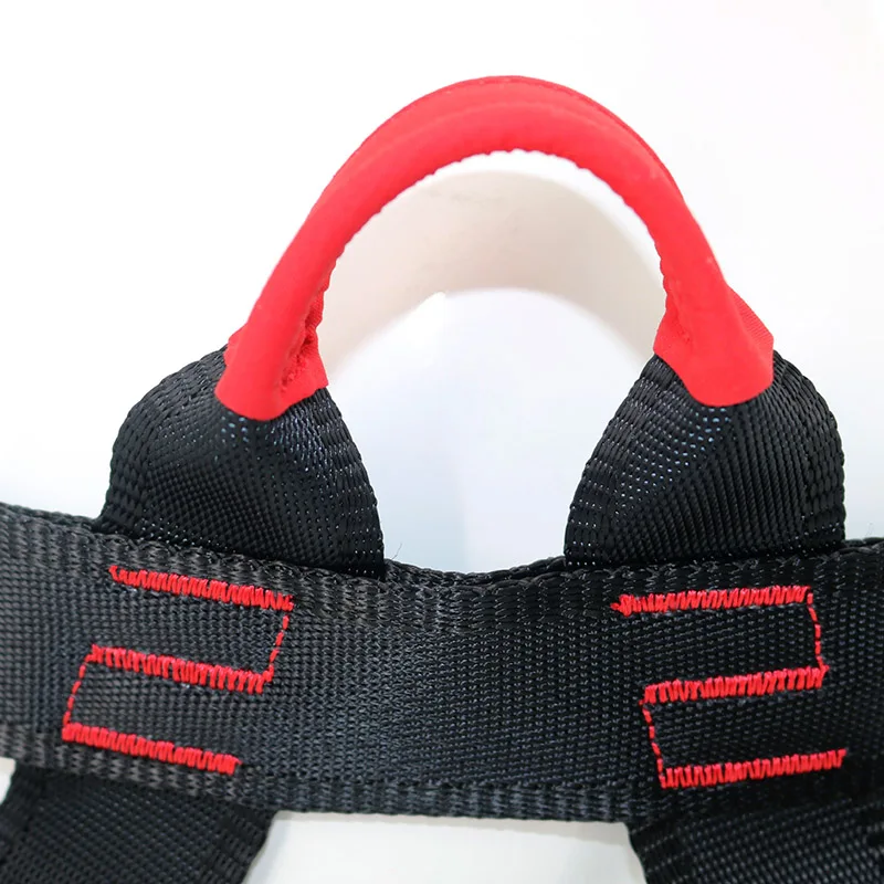 Climbing Safety Belt Protection Waist Belt Wear-resistant Mountaineering Outdoor Climbing Downhill Climbing Fall Protection