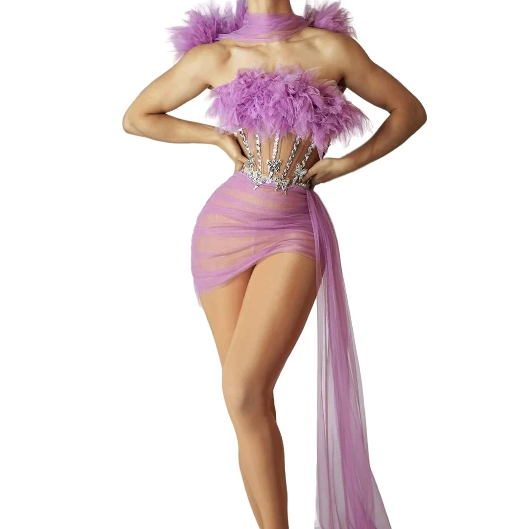 

Women Dance Singer Costume Sexy Drag Queen Purple Sleeveless Stage Wear See Through Mesh Sequin Stunning 2 Pcs Set Outfit