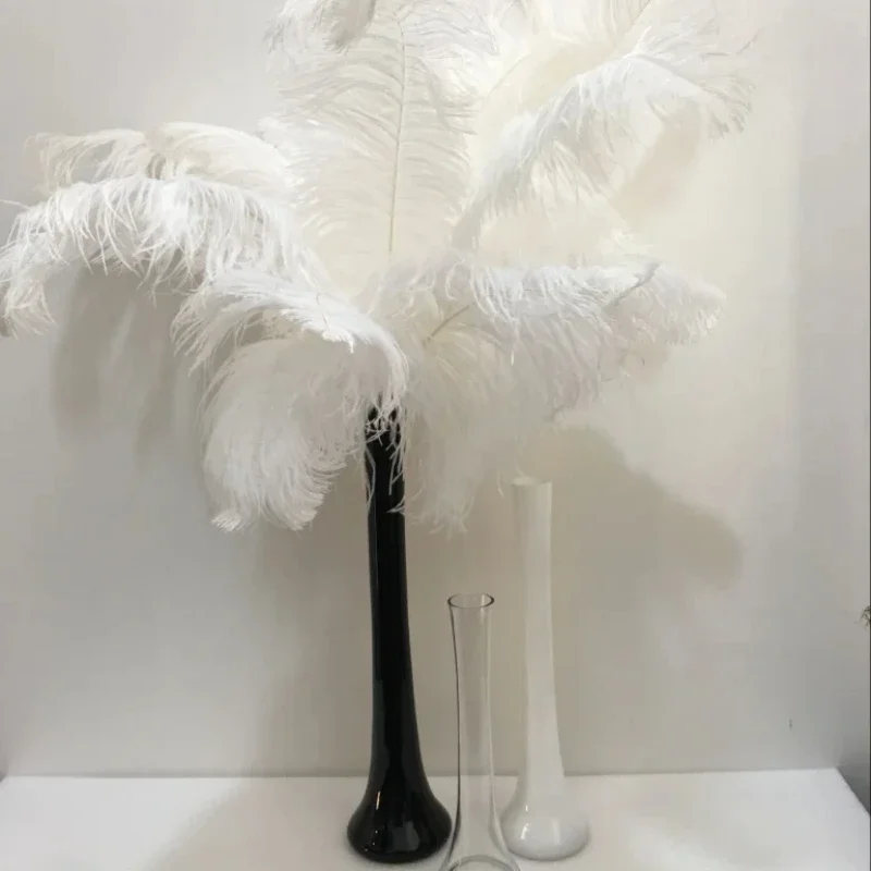 

Feather inserted white vase glass slender modern minimalist living room porch home decoration ostrich hair black flower ware