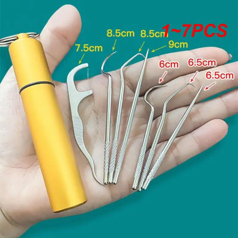 Metal Aço Inoxidável Toothpick Set, Limpeza Oral, Dente Flossing, Portátil Toothpick Floss, Dentes Limpador com Tubo De Armazenamento, 1-7Pcs