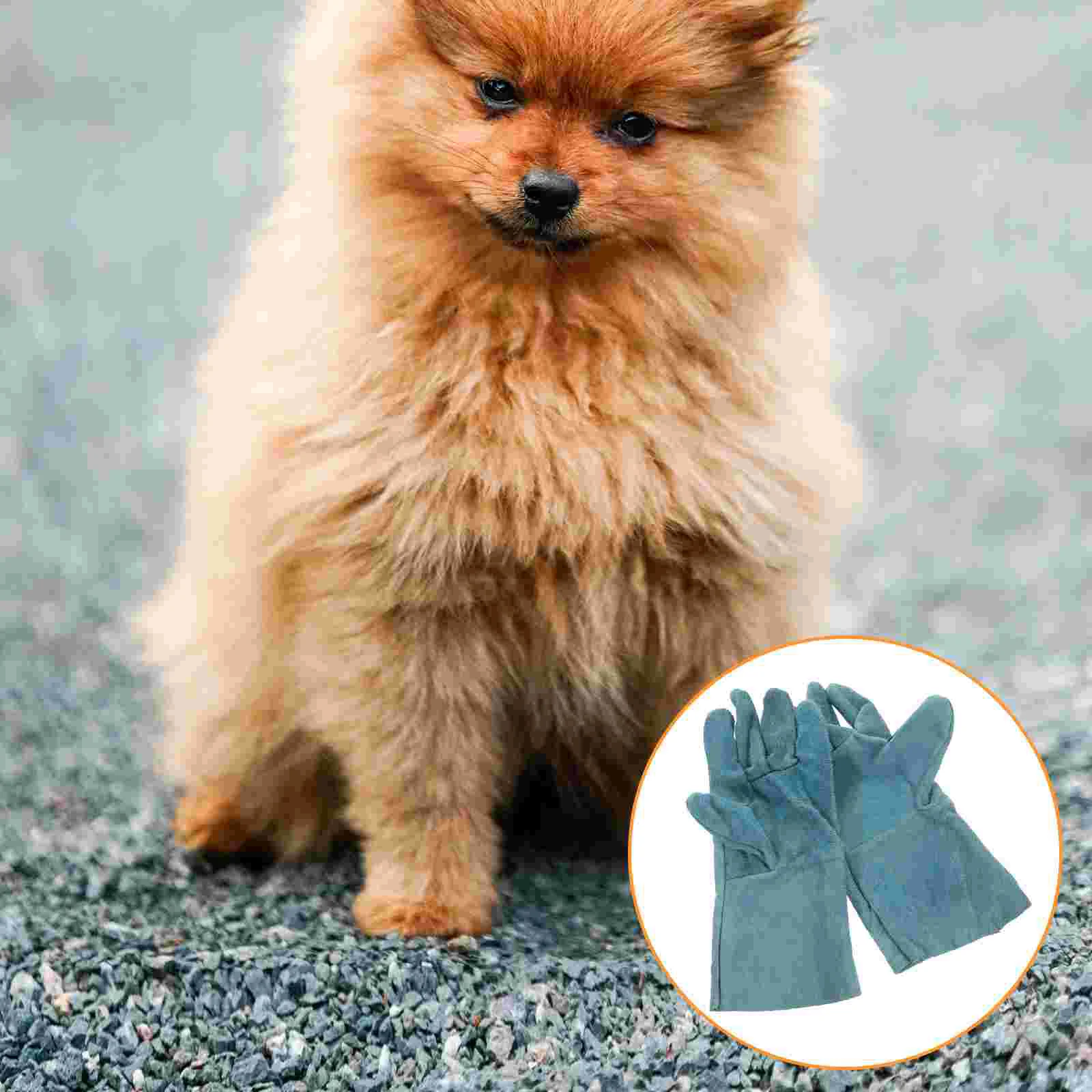 

Bite Resistant Gloves Pet Anti Bite Finger Protective Glove Dog Training Supplies Thick Comfortable Pet