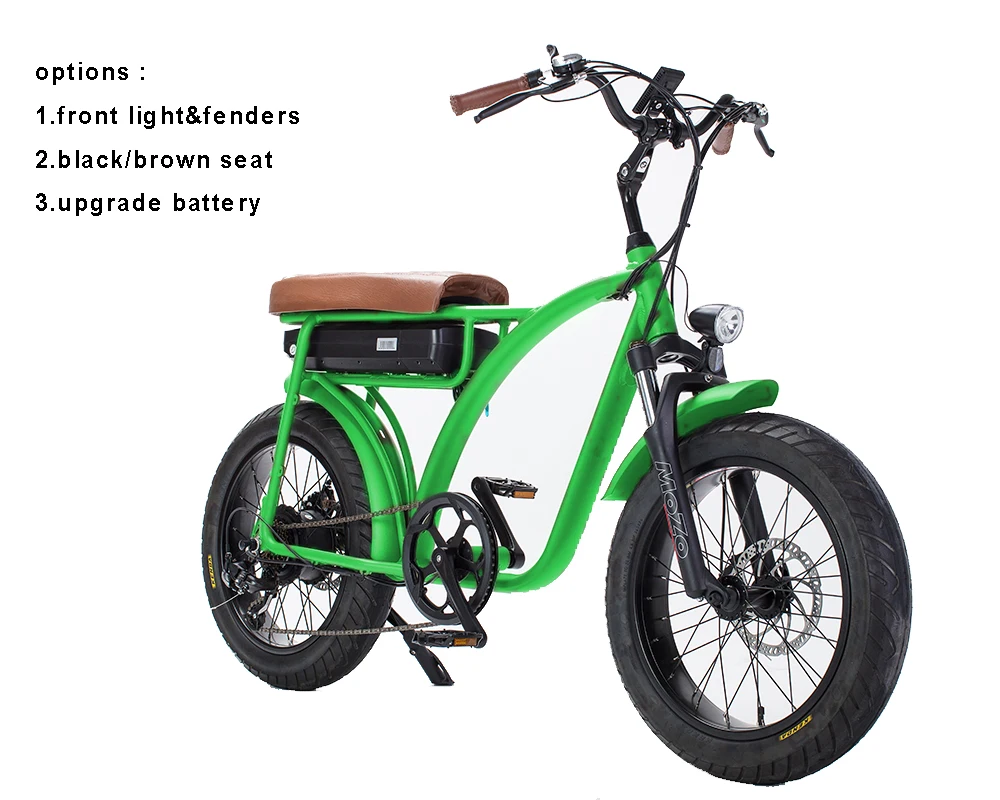 Two-wheel electric multi-purpose cargo bike bicycle 500w  750W fat tire ebike