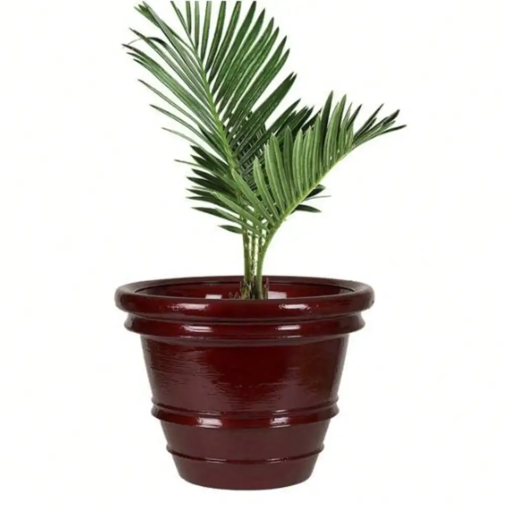 

Plant Pots, 15.12 in. W x 11.22 in. H Brushed Scarlet Indoor/Outdoor Resin Planter, Durable, yet lightweight and portable.