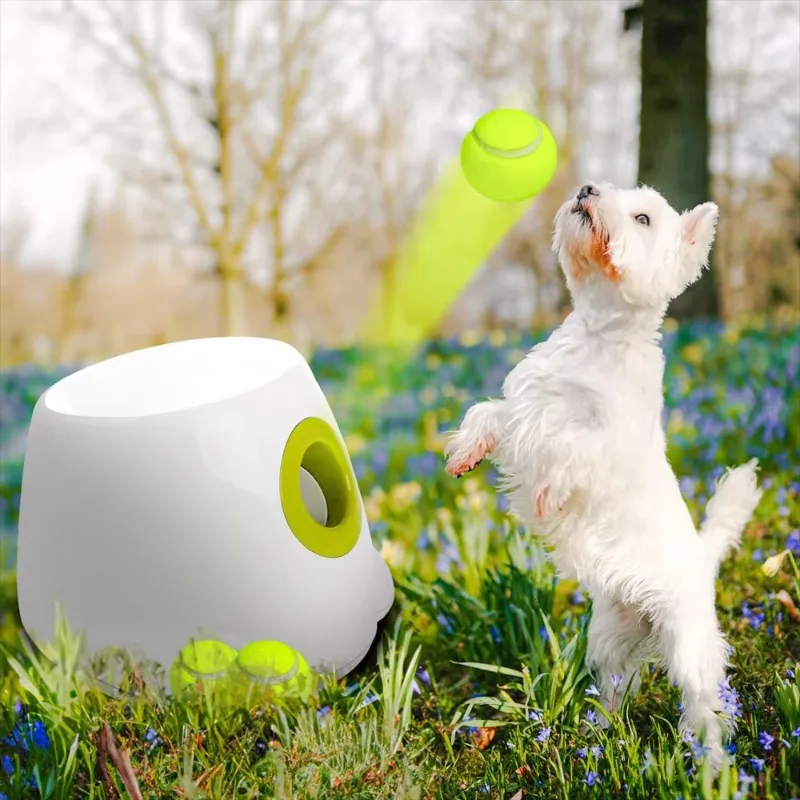 A01 AFP Automatic Dog Ball Launcher – Electric Tennis Ball Thrower, Interactive Fetch Toy for Dogs, Wholesale Ready