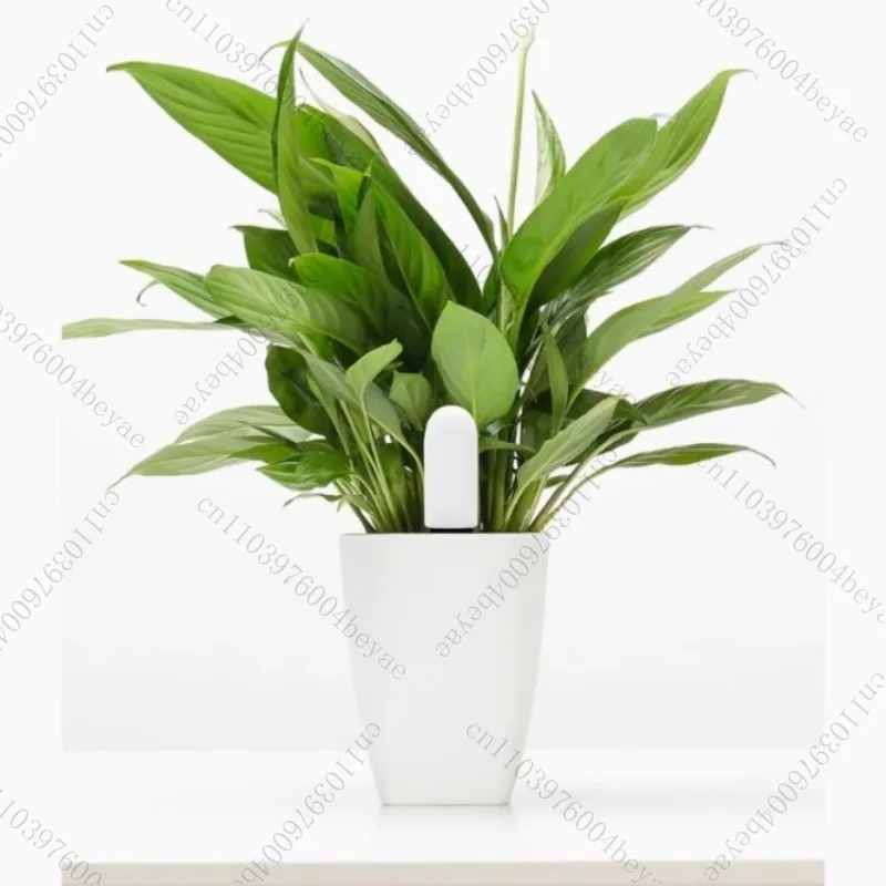 Nymphomaniac Moisture Detector Third Generation Enhanced Edition Smart Plant Potted Flower Moisture