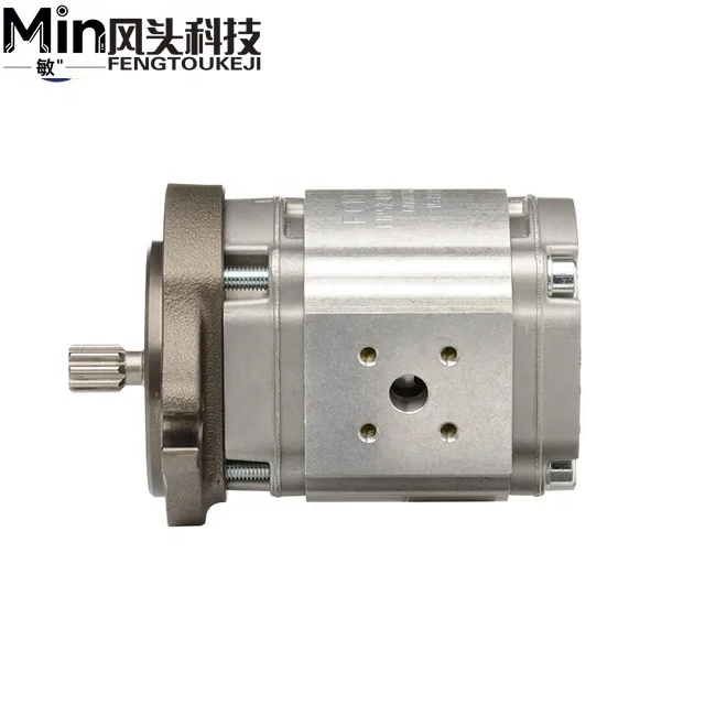 

Original ECKERLE EIPS2-011RA04-12 S111 Hydraulic Gear Pump for Industrial Hydraulic System Replacement Part