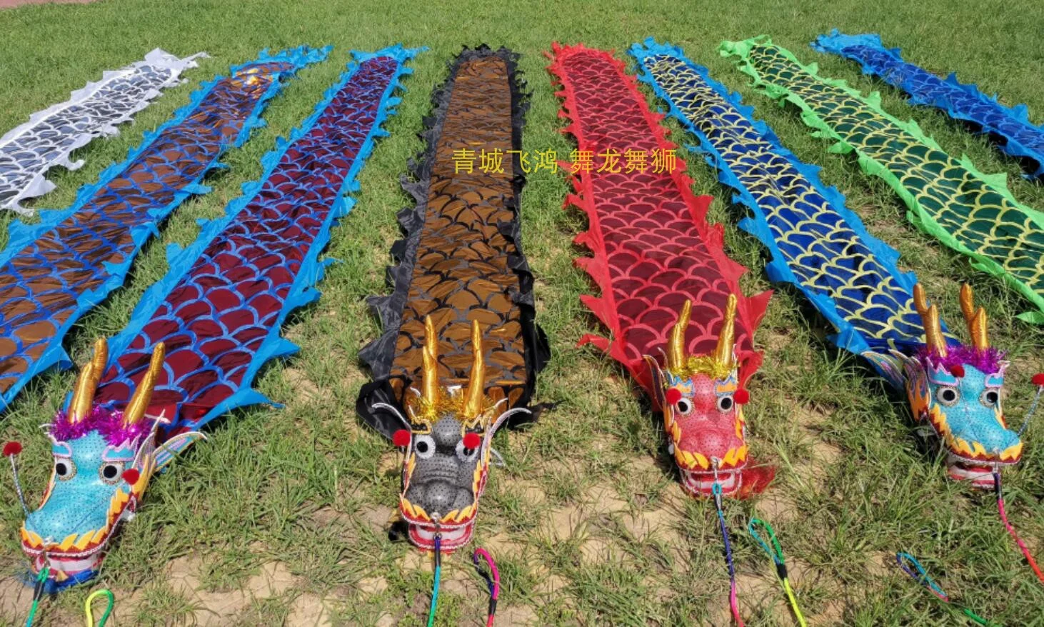 

6/8/10 m Chinese Dragon Dance Sport Prop For Adults Colorful Fitness Dragon Performance Outdoor Practice