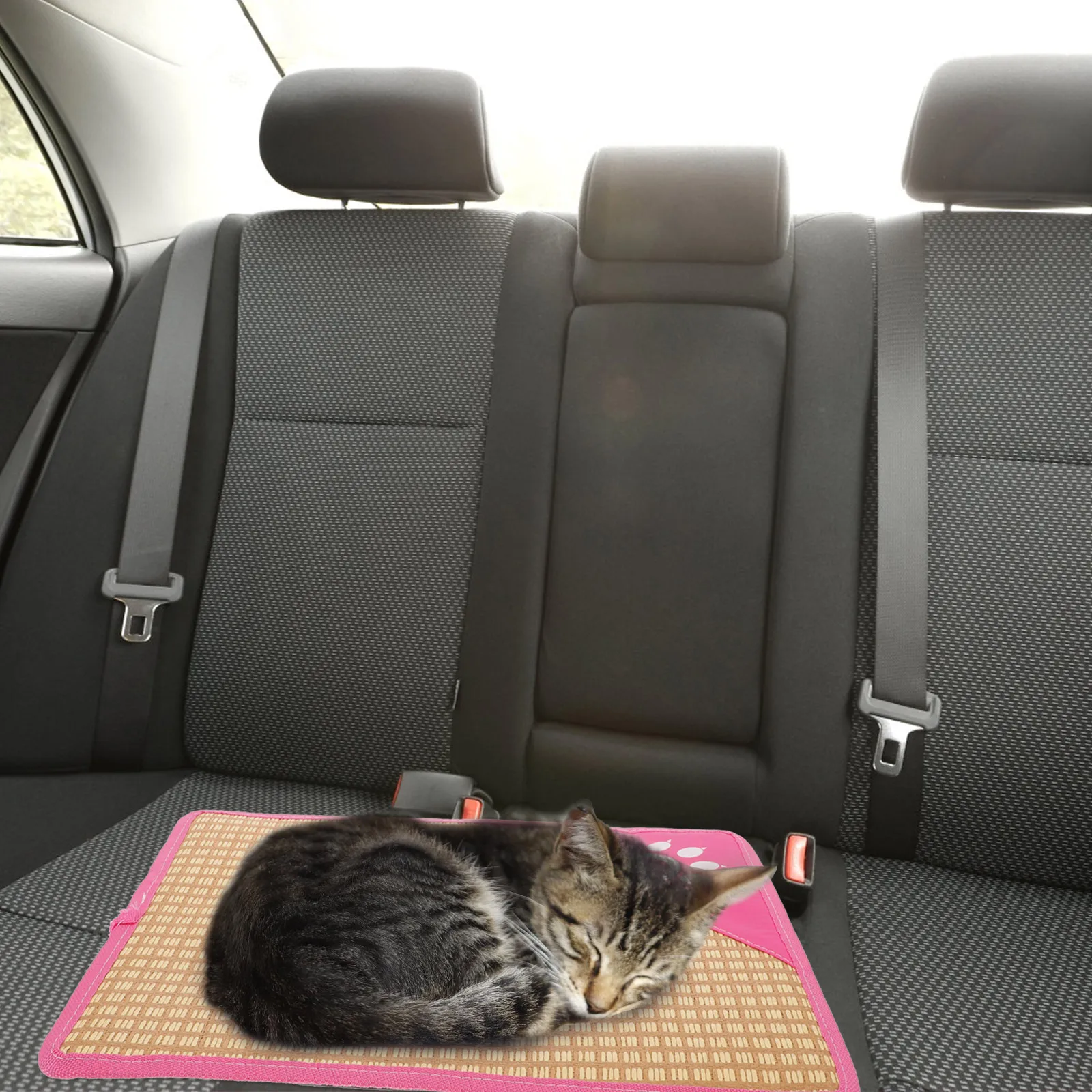 

Cat Cooling Bed Sponge Straw Material Safe Durable Pet Cooling Mat Soft Area Summer Resting Place Nonskid Pet Summer Pad