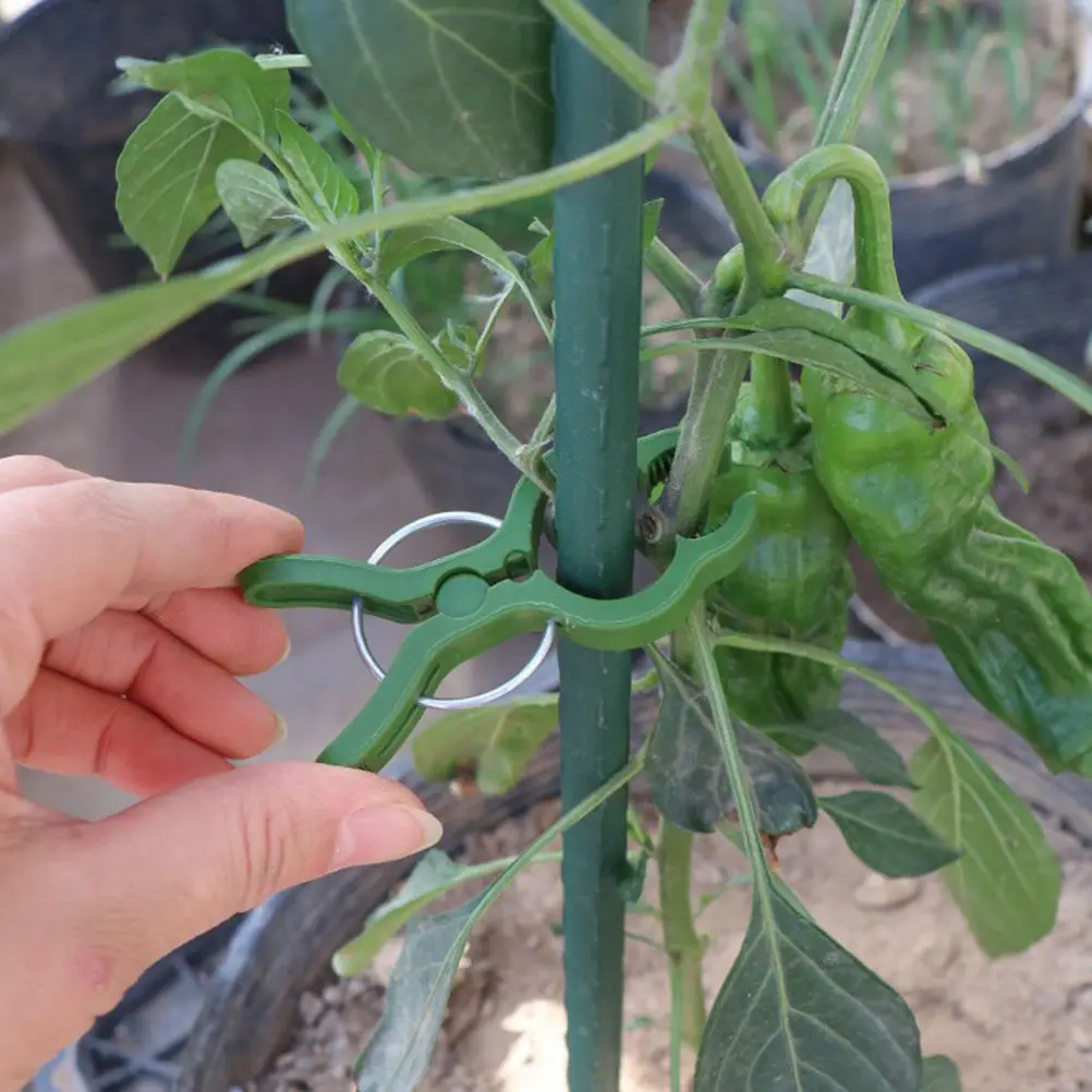 25Pcs Plants Fixed Clip High Quality Plastic Garden Fixing Clips Gardening Art Plant Stalk Holders Potted Branch Fixers