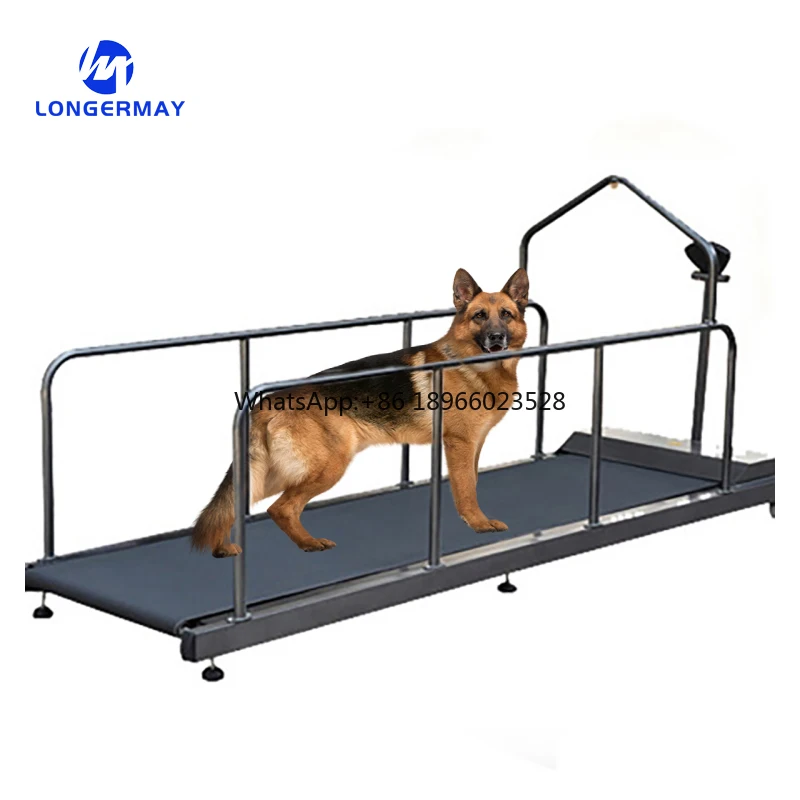 Dog Treadmill Large Dog Resistance Treadmill Treadmill For Pets