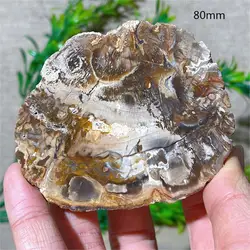 Crystal Natural Wood Stone Quartz Minerals Reiki Living Original Specimen Gemstones Home Decoratine Mineral Healing Geode