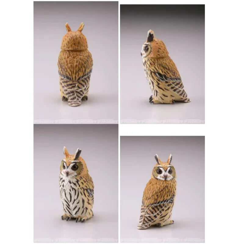 Original KAIYODO Blessed Owl Gashapon Qversion Mini Animal Action Figure Model Toys Gifts Cartoon Character Collection Ornament