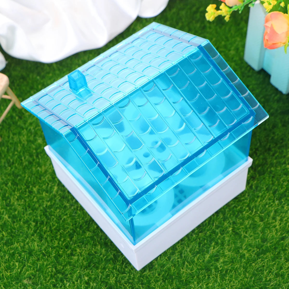 

4 Slots Small Bird Egg Incubator Home Use 15W Automatic Temperature Control Transparent Cover Ceramic Heating Digital Display Uk