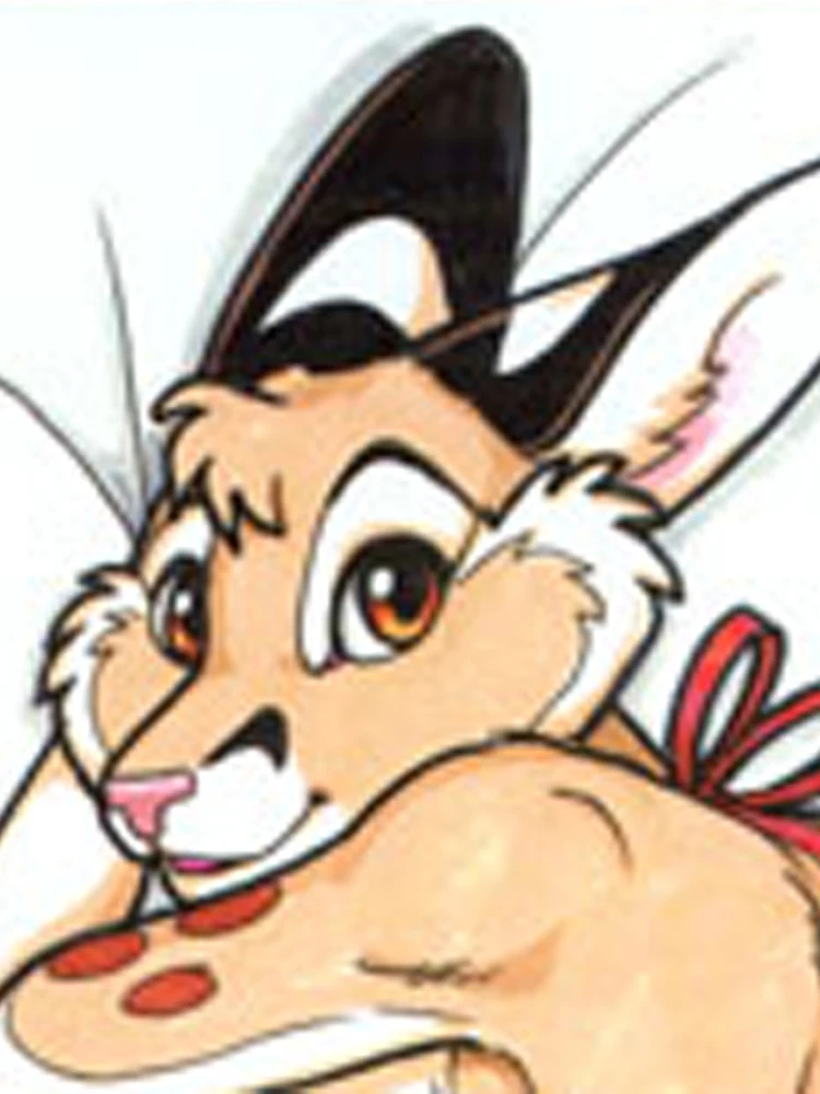Dakimakura Anime Pillow Cover Fennec Double Sided HD Print 2WAY Life Size Anime Body Pillowcase Gifts