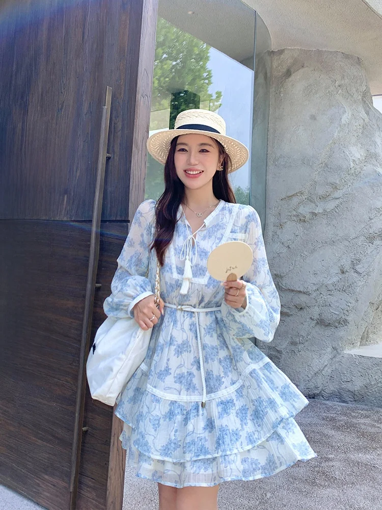 

Cheeseandkisses Lace Floral Print Puff Sve Dr Soft Fabric A-Line Silhouette Casual Sle V-Ne Long Sve Dr