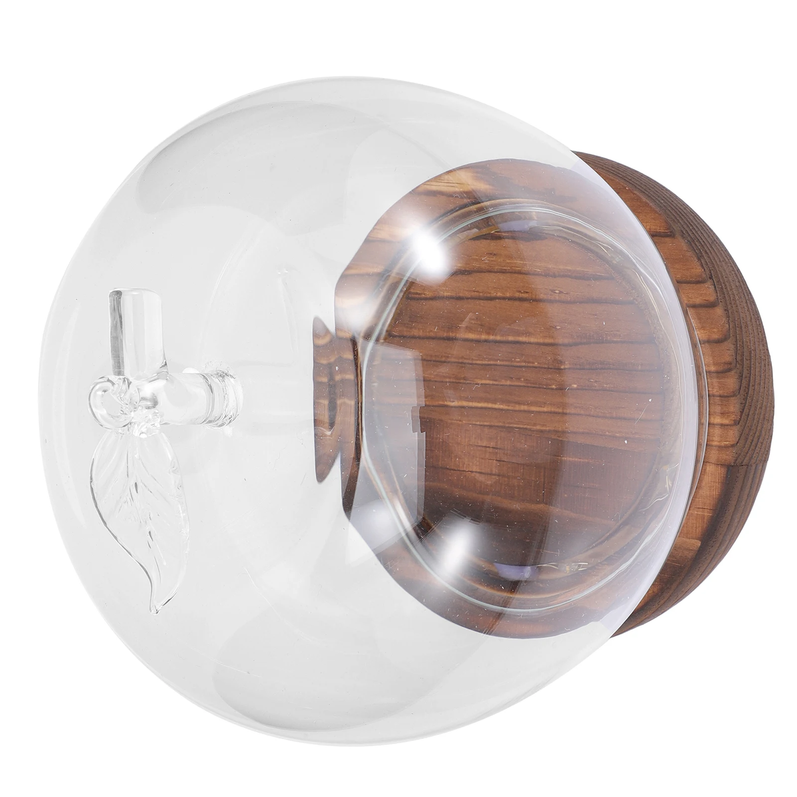 

1pcs Apple Glass Case Glowing Base Flat Design Table Office Decor Clear Mini Glass Dome Display For Preserved Flowers Succulents