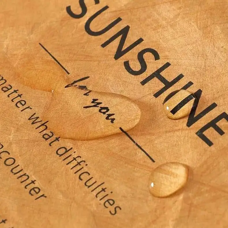 Paper Lunch Bag Waterproof Insulation Bag Lengthen and Thicken Aluminum Foil Japanese Handbag Office Worker Student