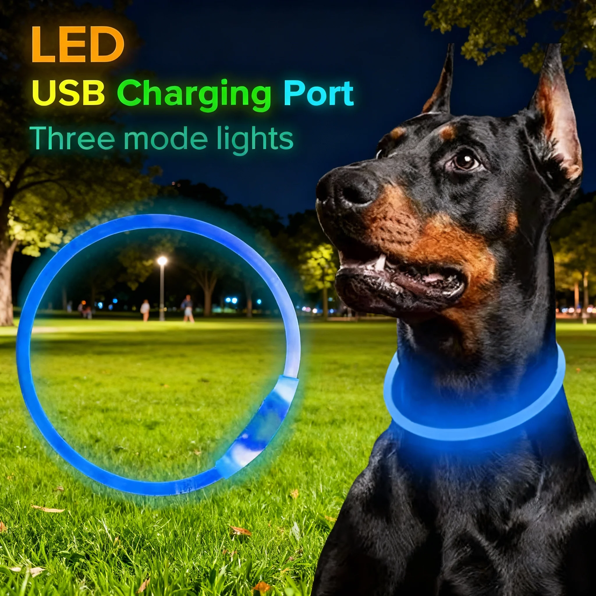 Thumbnail 2 - #68 Best Selling LED Dog Collars