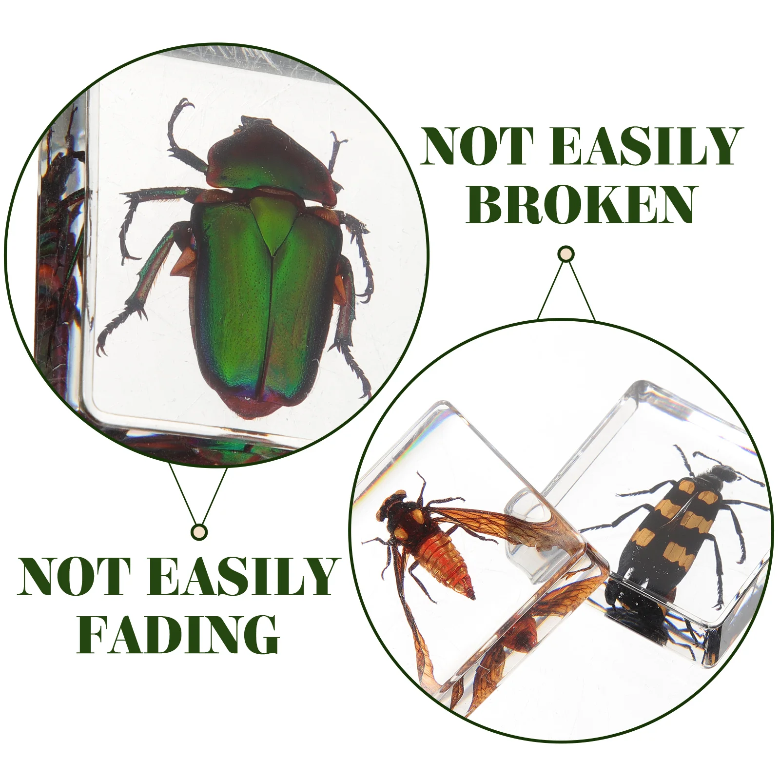 

6 Pcs Insect Book Town Indoors Resin Decor for Table Home Ornaments Exquisite Delicate
