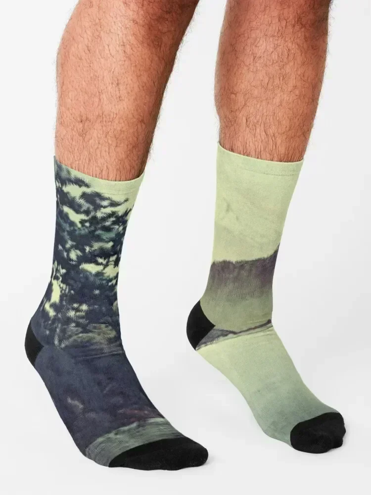 Views at Nagahama Socks Stockings valentine gift ideas designer brand with print Socks For Men Women's