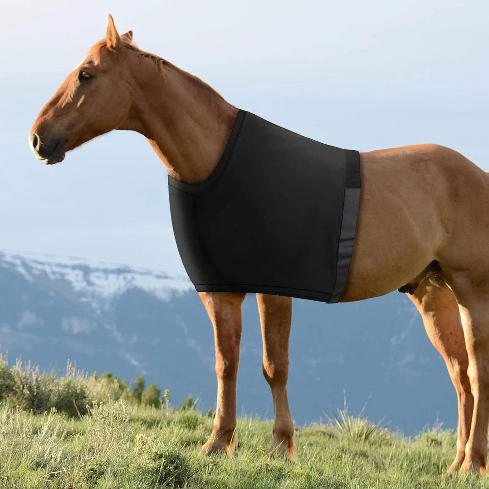 Protector de hombro para caballo, protector de pecho elástico, accesorios ecuestres, babero antifrotamiento