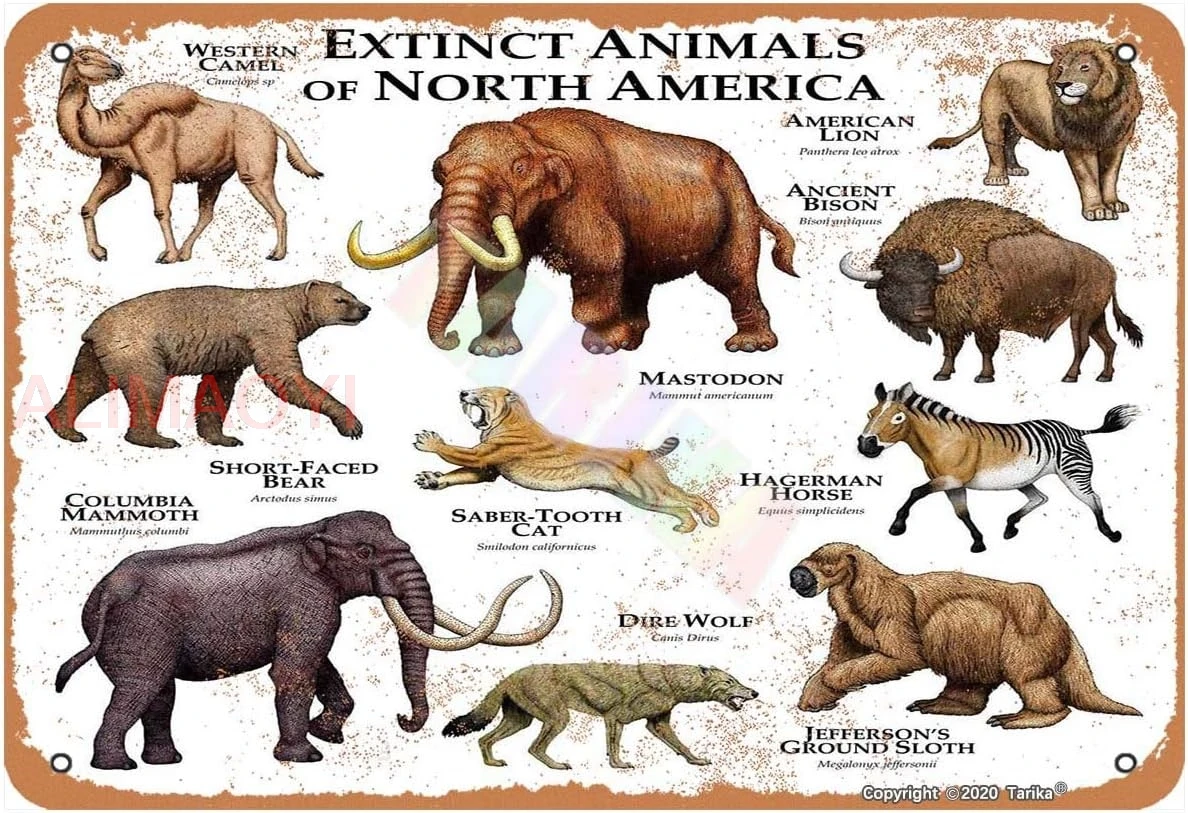 Extinct Animals of North America Iron 20X30 cm Vintage Look Decoration Poster Sign for Home Kitchen Bathroom Farm Garden Gara