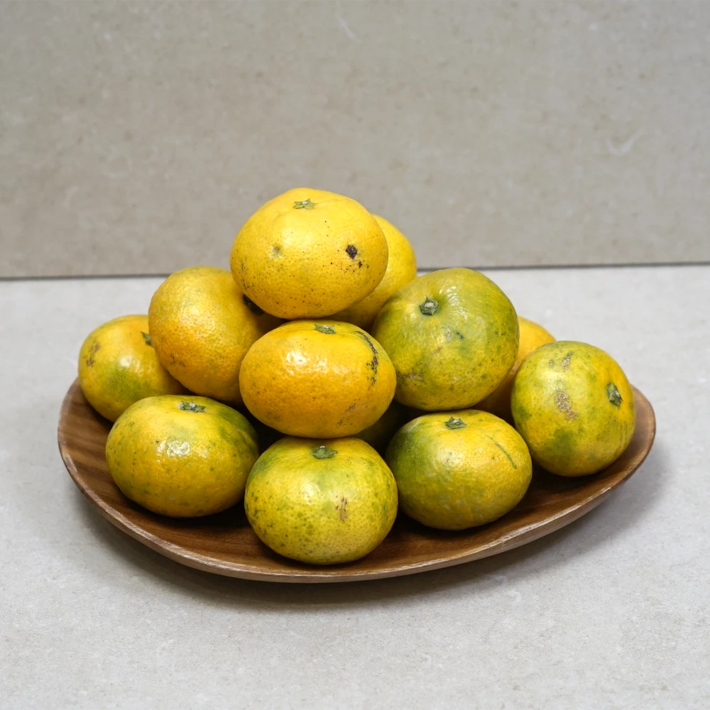 Jeju التسليم المباشر Jeju Tangerines اليوسفي المفتوحة الميدانية 9 كجم