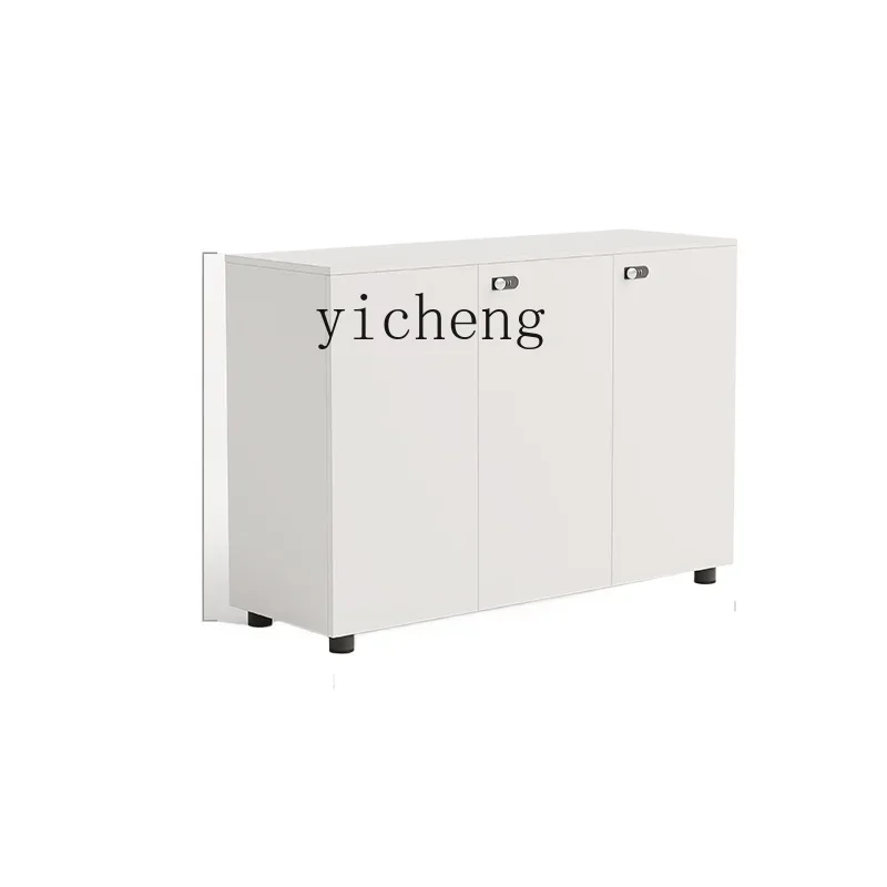 

Tqh Jianhong White File Cabinet Office Planter Partition Low Cabinet Modern Simple Storage Data Voucher File Finance