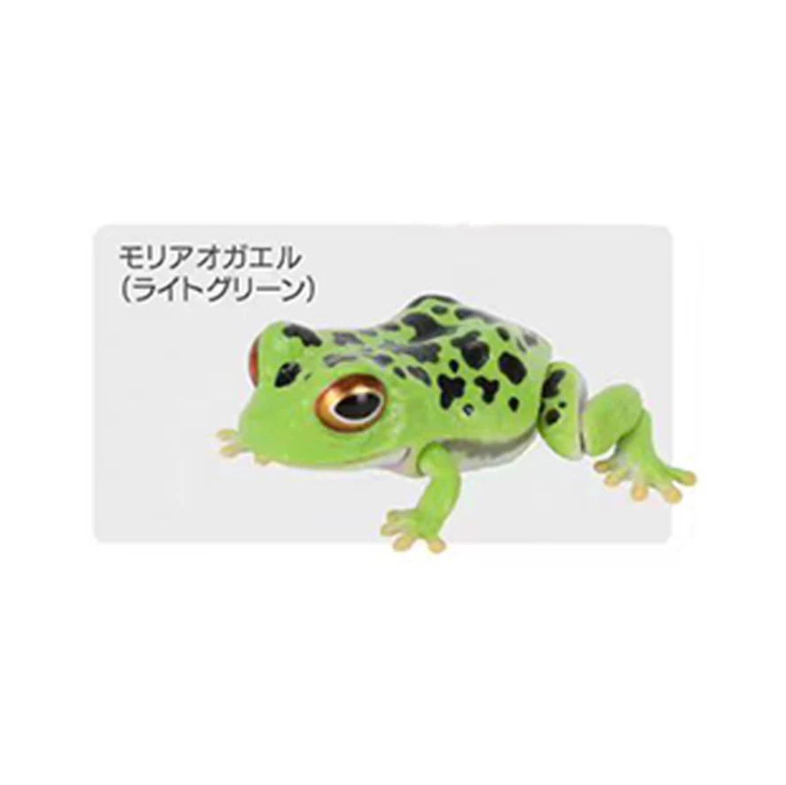 재고 있음 - 반다이 생물학 백과사전: 두꺼비와 개구리 가샤폰 - 사실적인 동물 피규어 세트