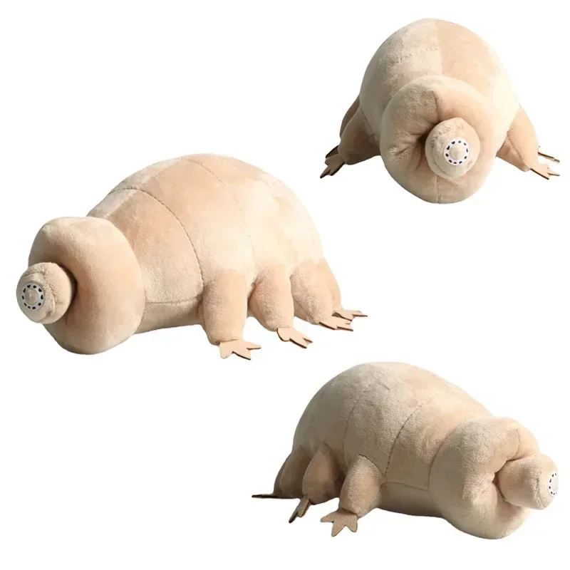 25 CM Carino Tardigrade Peluche Morbido Peluche Giocattolo Bella Orso D'acqua Insetto Bambola Giocattolo Educativo Per Bambini Ragazzi Regalo Di Compleanno