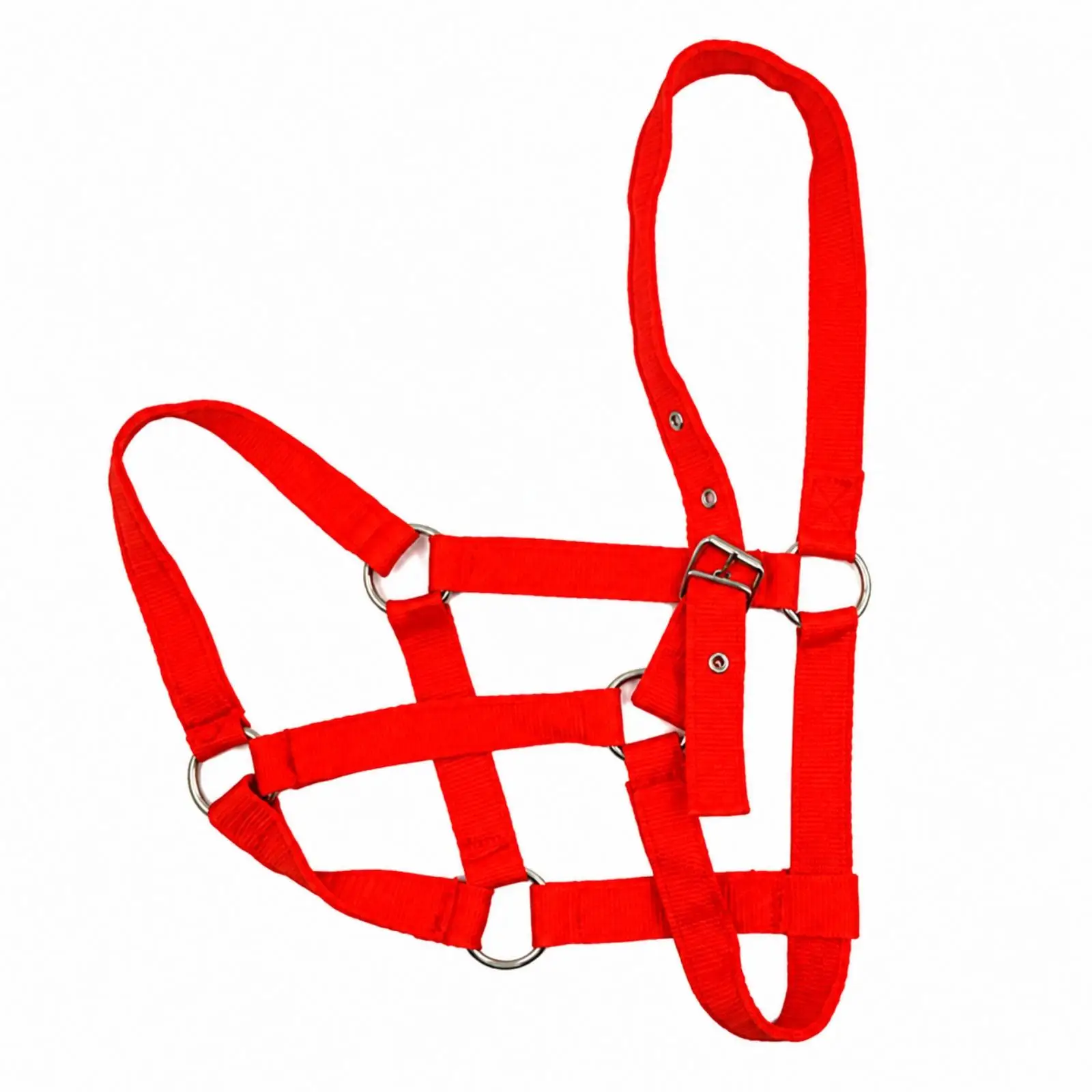 Durable Nylon Horse Training Halter with Multi Strap Design and Metal Hardware for Groundwork Stable Handling and Everyday