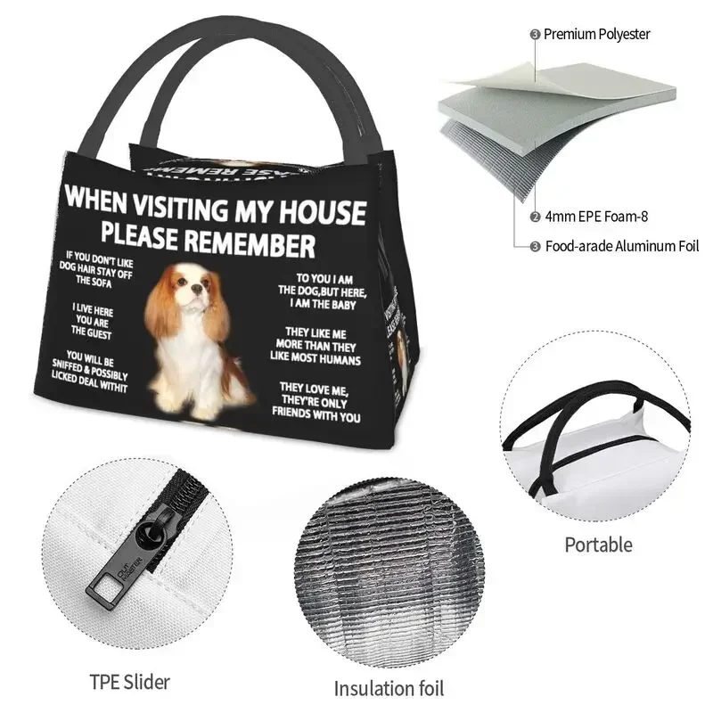 Caixa térmica de Bento para homens, adequada para piquenique ao ar livre, Cavalier King, charles Spaniel, Cão, Refrigerador reutilizável, Lunch Bags isolados