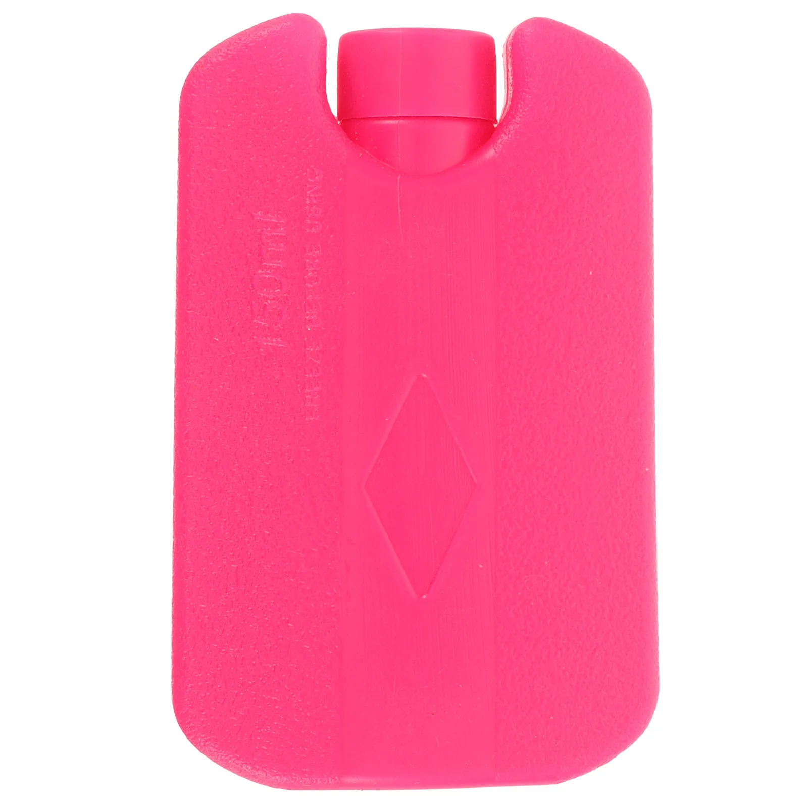 

Pack for Small Pets Portable Freezing Box Summer Cooling Solution Non Leaking Design Outdoor Camping Lunch Boxes