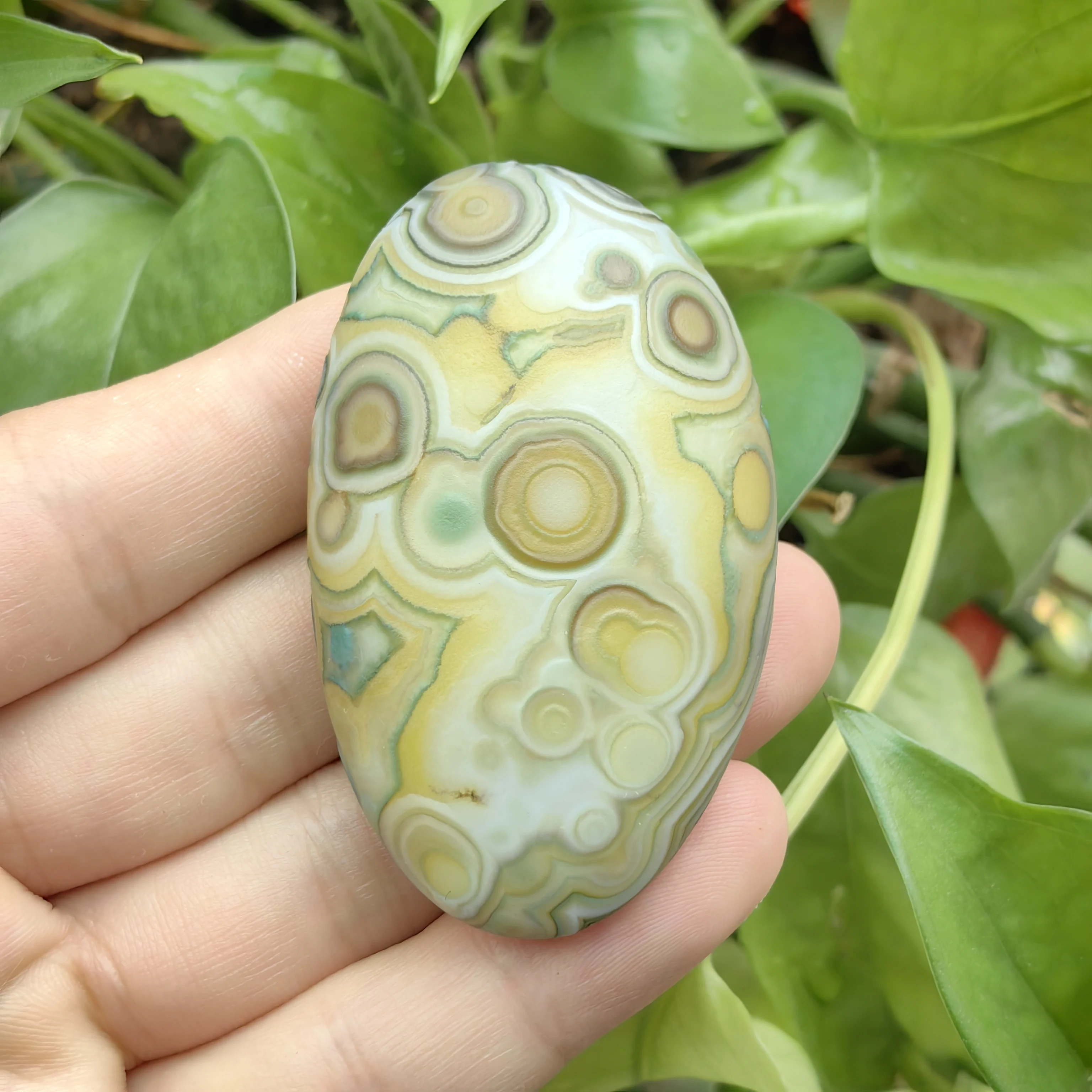 Rare Multi-Eye Agate Stone, Natural Pattern Inspired by Cosmic Design, Brings Harmony and Abundance to Your Space