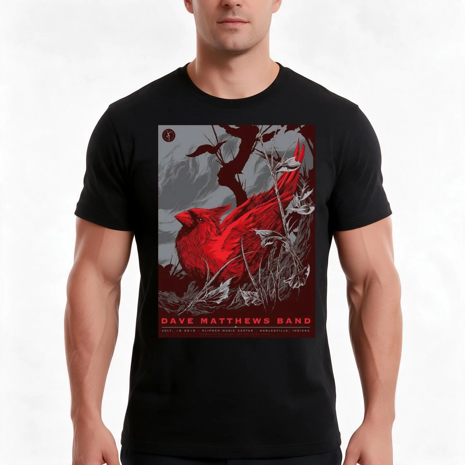 DMB 2015 July 18th Klipsch Music Center Nobleville T-Shirt, Summer Casual Cotton Tee, Oversized Streetwear Tops, 100% Cotton