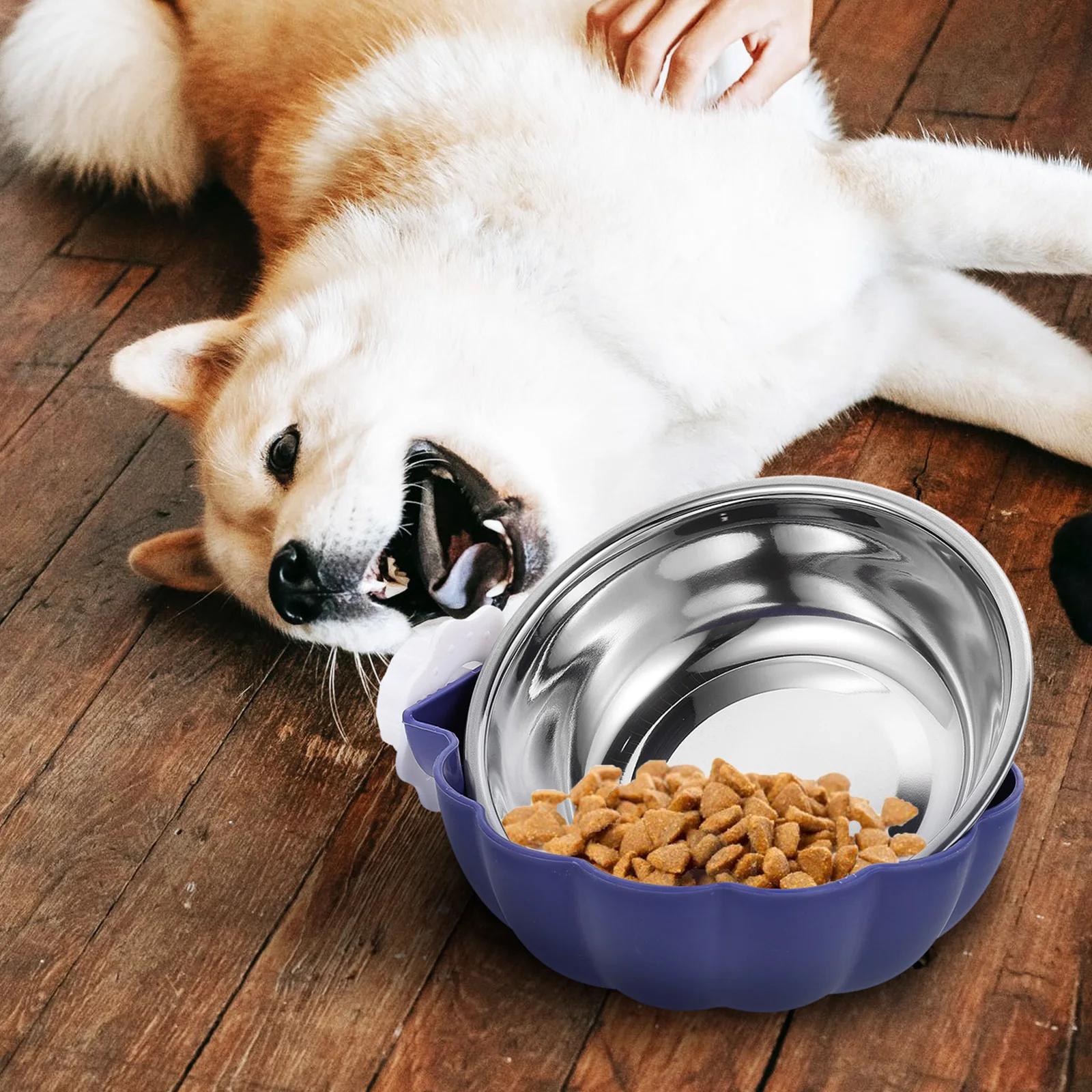 

Stainless Steel Dog Bowl Durable Pet Feeding Bowls Blue Small Dogs Easy Clean Long Serving Time Household Accessories