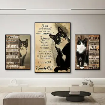 6 best sales टक्सीडो बिल्ली - №5