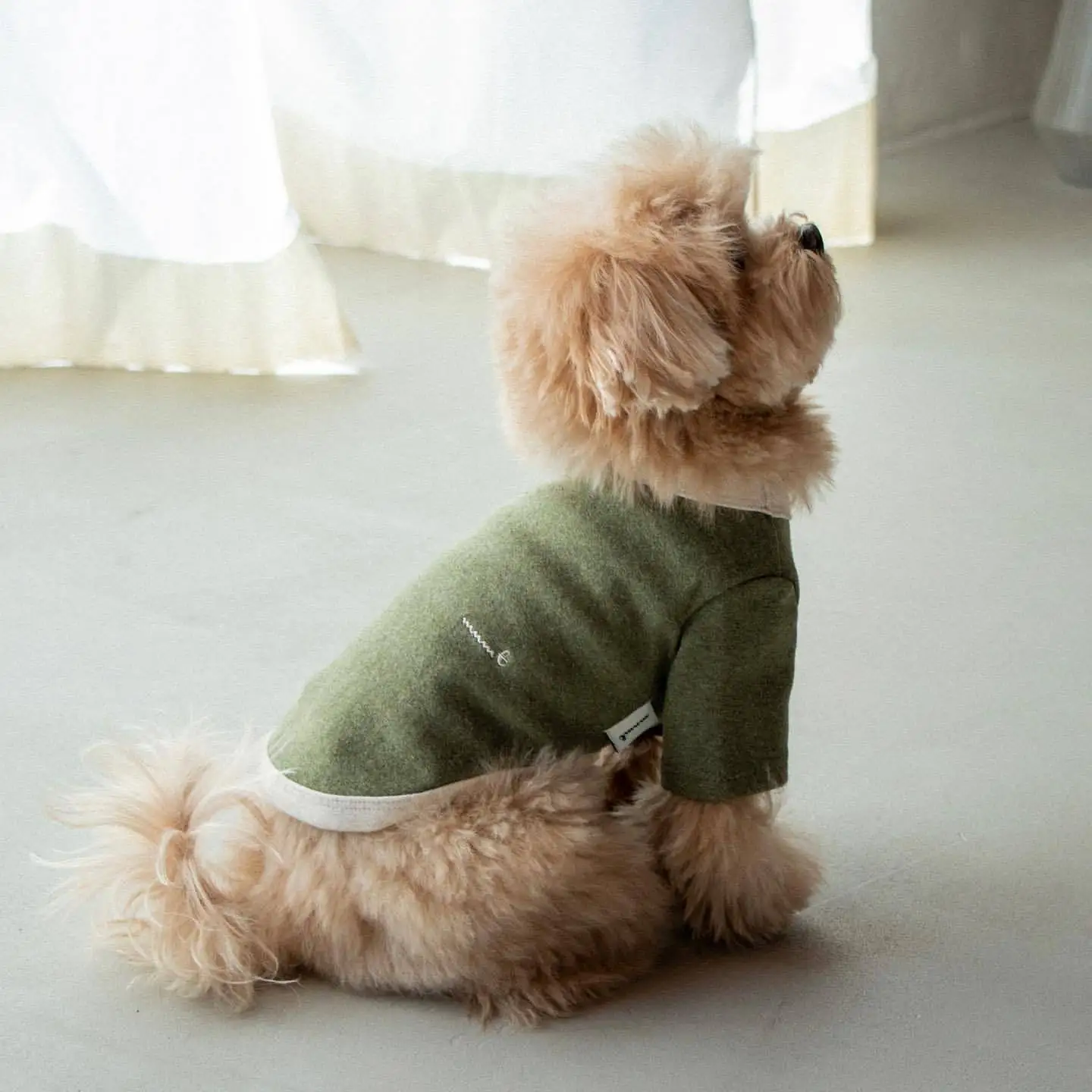 Herbst/Winter Thermo-Unterwäsche/Sweatshirt für Hunde und Katzen, vielseitige bestickte Kleidung für kleine Rassen, Haustierkleidung, Teddy, Bichon – Detail 6